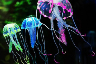 Mơ thấy con sứa là điềm báo gì? Nên đánh con số đề nào?
